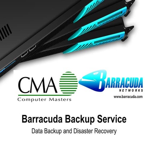 Barracuda Backup Service Ip Us 20090916