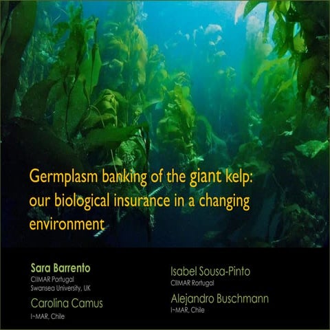 International Seaweed Symposium: Genetic diversity is being lost at a fast pace