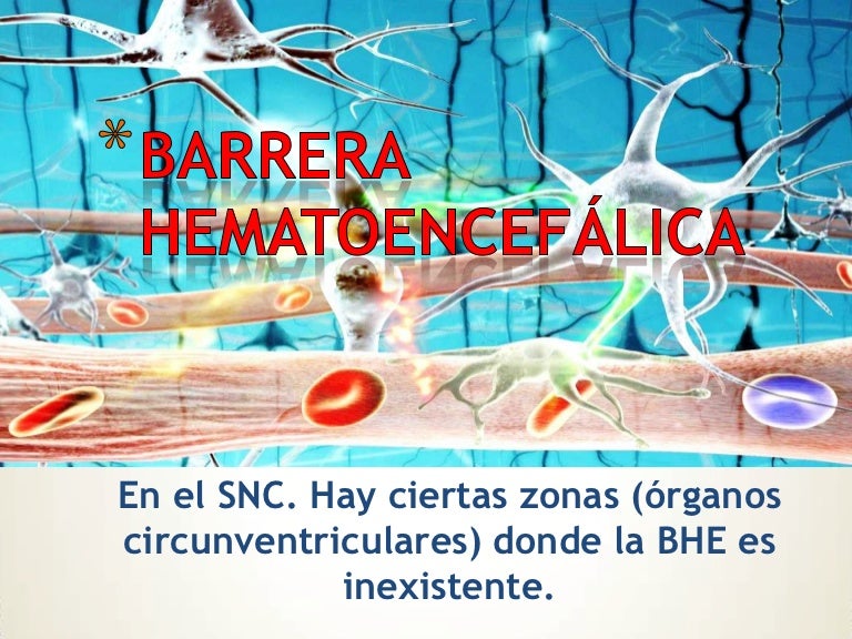 Barrera hematoencefálica