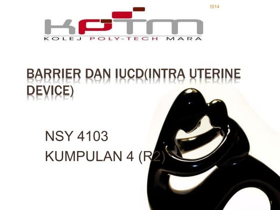 Sarah rifqi updated (1) | PDF
