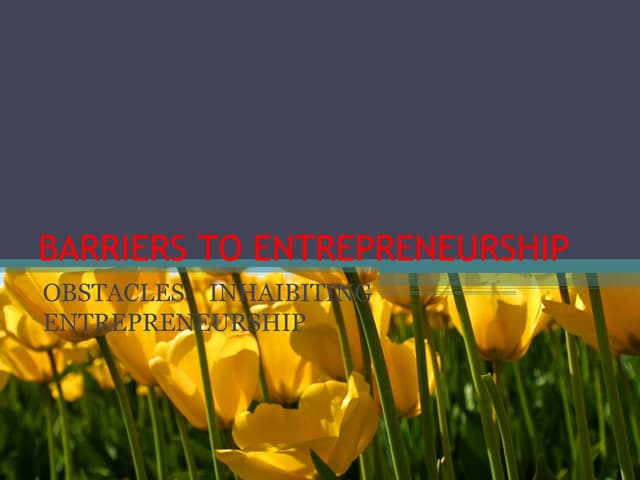 Barriers to entrepreneurship 2