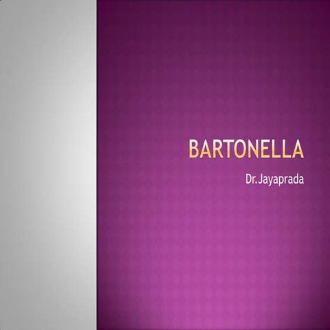 Bartonella.jp