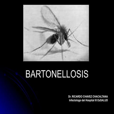 Bartonellosis