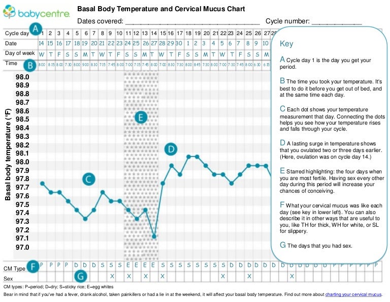 Basal Body Chart When