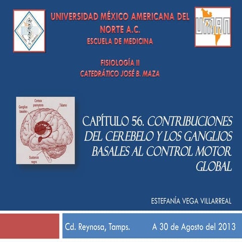 BASAL CONTROL MOTOR del sistema nervioso central | PPT