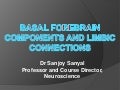 Basal Forebrain Components - Schizophrenia - Limbic Connections - Sanjoy Sanyal