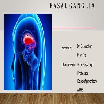 BASAL GANGLIA.pptx