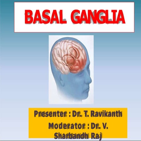 basal ganglia.pptx
