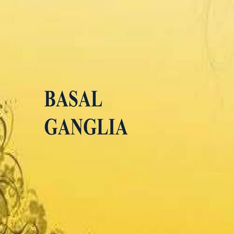 basalganglia, anatomy,medicine, ppt,pdf.