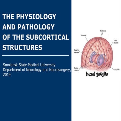 The physiology and pathology of the basal ganglia | PPT