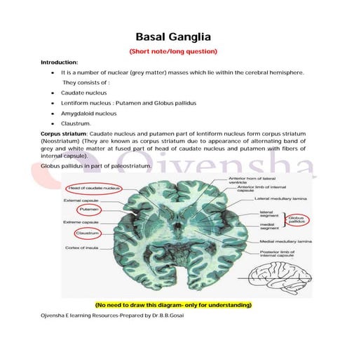 Basal ganglia dr.gosai