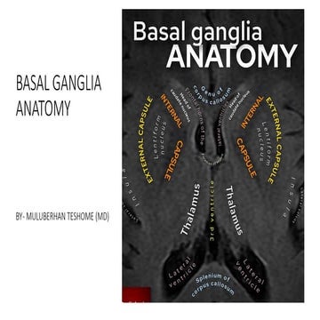 Comprehensive Anatomy and Function of Basal Ganglia in Neurology | PPTX