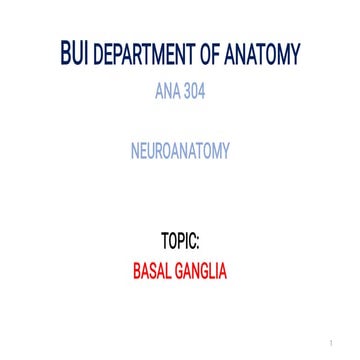 BASAL GANGLIA BUI 2024.pdf..............