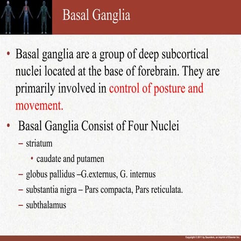 basal ganglia cls.ppt