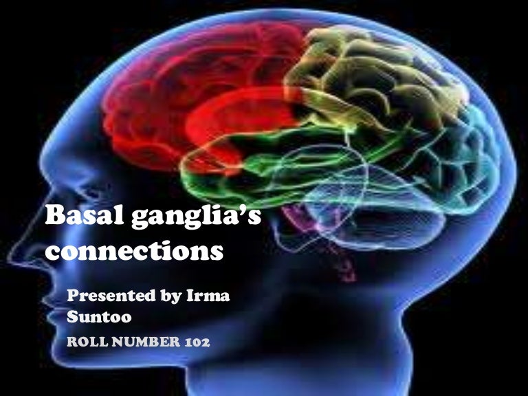 Basal Ganglia (brain) Physiology, Parkinsonism