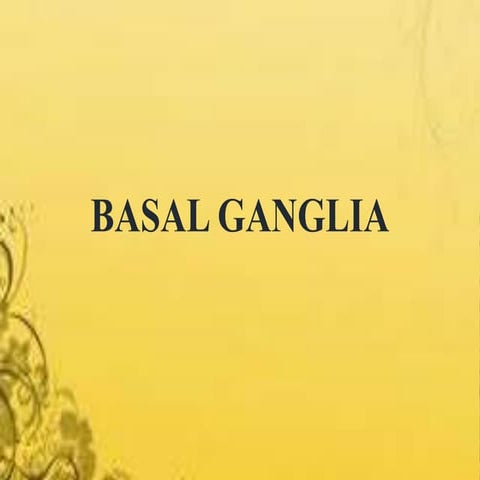 Basal ganglia anatomy and physiology ppt