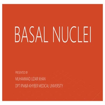 Basal nuclei