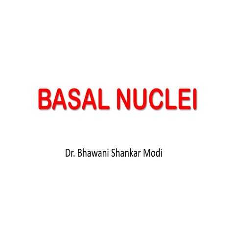 Basalnuclei