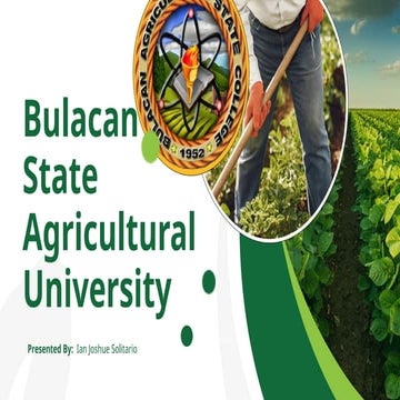 Bulacan Agricultural State College Vmgo S Pptx