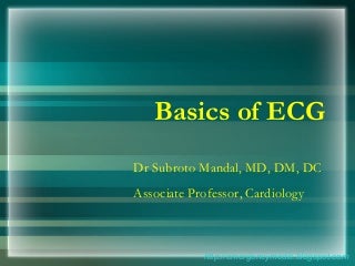 ECG Basics