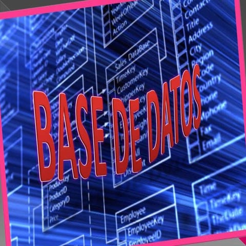 Base de datos | PDF