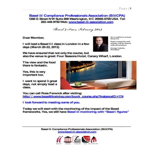 Basel 3 February 2013