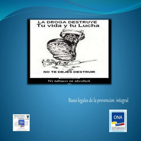 Base legales presentacion