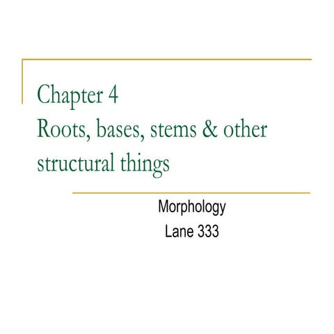 Base root and stem