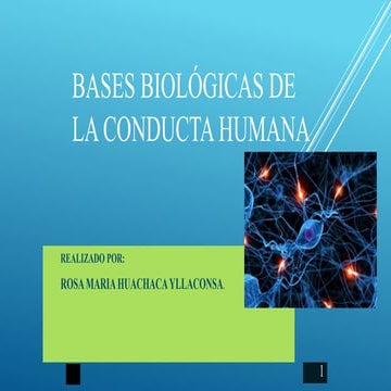Bases biológicas | PPTX