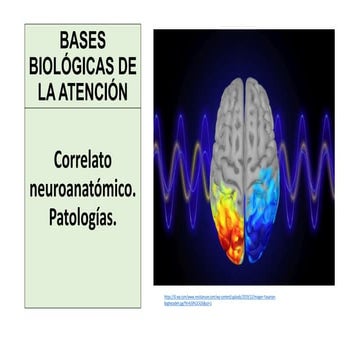BASES BIOLÓGICAS DE LA ATENCIÓN.pdf