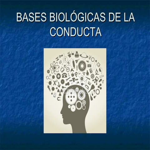 Bases biológicas de la conducta | PPT