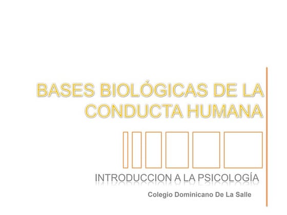 Cerebro y aprendizaje humano | PPT