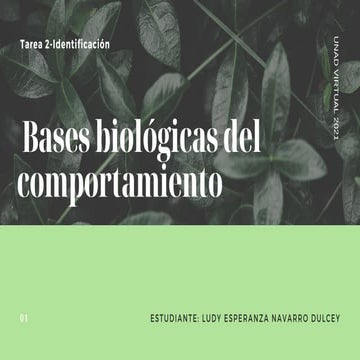 Bases biológicas del comportamiento- Tarea 2 | PDF
