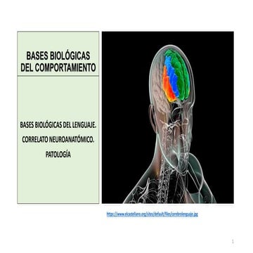 BASES BIOLÓGICAS DEL LENGUAJE.pdf