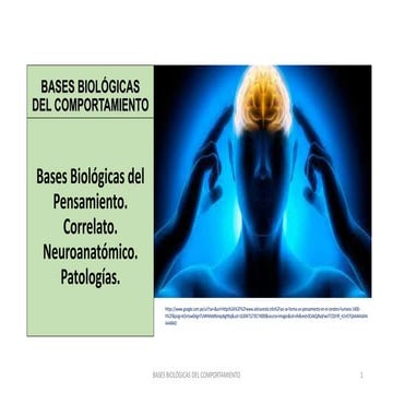 Bases Biológicas del Pensamiento.pdf