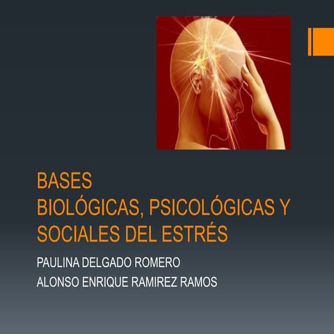 Bases biológicas, psicológicas y sociales del estrés | PPTX