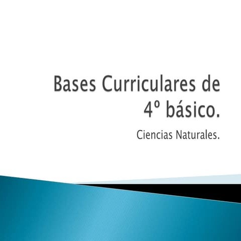 Bases curriculares de