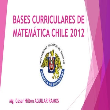 BASES CURRICULARES DE CHILE.pptx