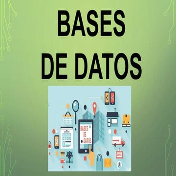 Bases de datos | PDF