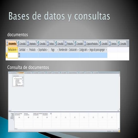 Bases de datos y consultas