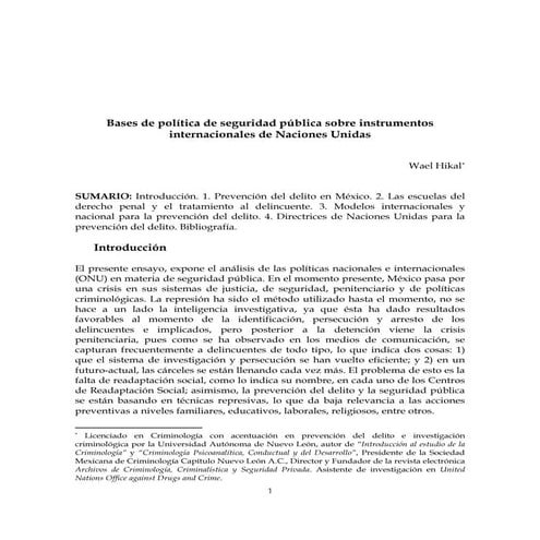 Bases de política de seguridad pública