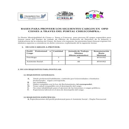 Bases de psicologo y asistente social opd 2010