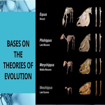 THE BASES ON THE THEORIES OF EVOLUTION.pptx