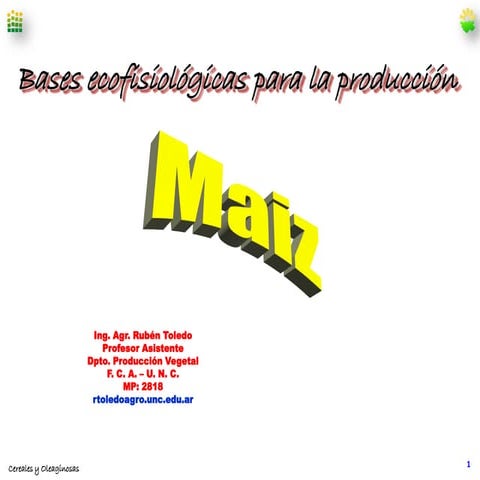 Bases para el manejo de maiz