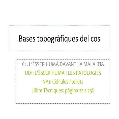 Bases topogràfiques del cuerpo humano .. | PPTX
