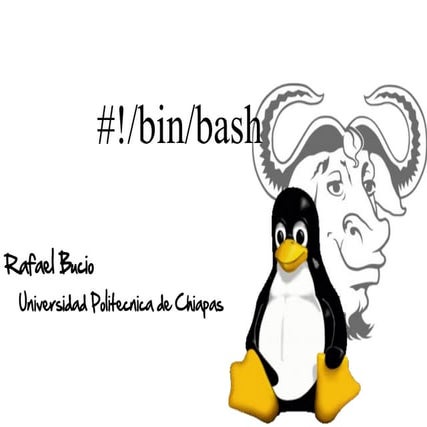 Programación en Bash