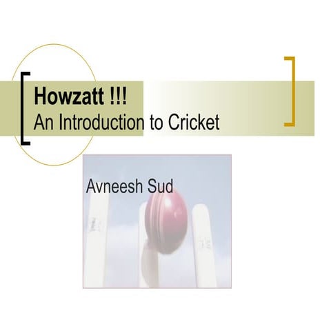 Basic Cricket Rules