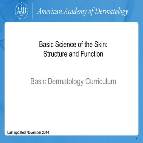 Basic-Science-of-the-Skin.p ccxfcfdfdfdfdffdfdptx | PPTX