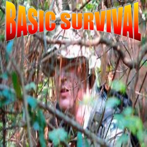 BASIC-SURVIVAL_DOCUMEN_IN_DANGEROUS_SITUATION.ppt