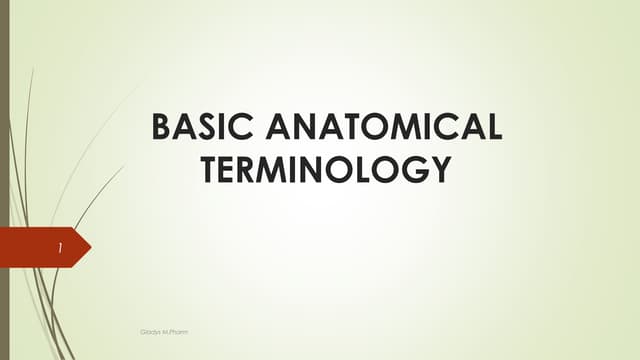 Basic anatomical terminology